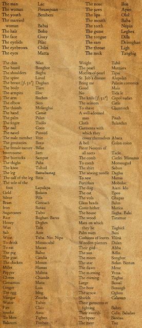 Forgotten Bisaya Words Lost in Time .
